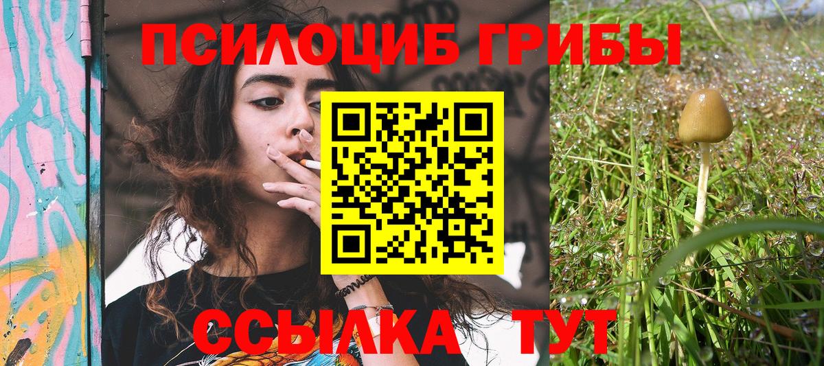 как найти   Псилоцибиновые грибы GOLDEN TEACHER  Вход с VPN  Галлюциногенные грибы Magic Shrooms  Киров 